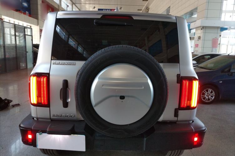 Used Tank 300 2024 2.0T Conqueror