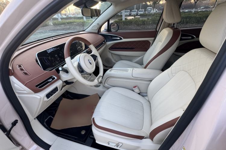 Used ORA Good Cat 2023 401 km Standard Range Luxury Version Lithium Iron Phosphate
