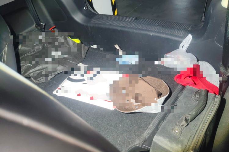 Used Roewe Clever 2022 311km QiQi BoBo Edition Left Rear Seat