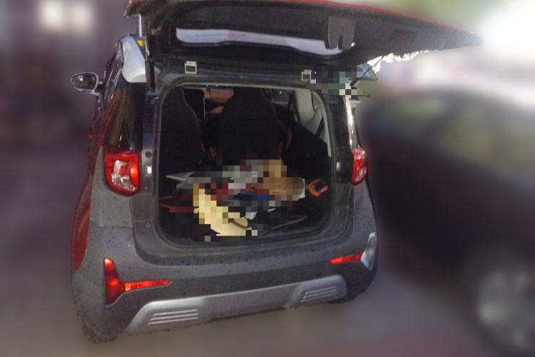 Used Chery Little Ant 2018 400 4-Seater Smart Edition