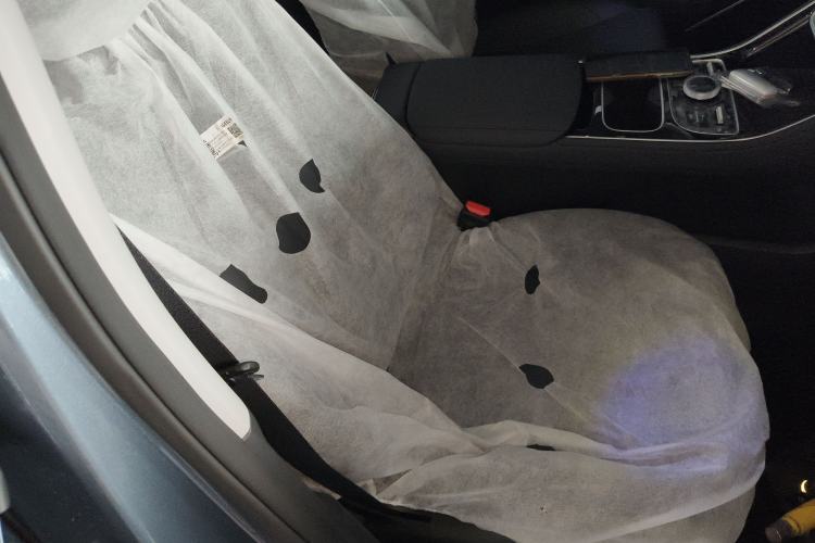 Used Geely Galaxy Stellar 6 2026 Model 125km Free-Style Edition Right Front Seat