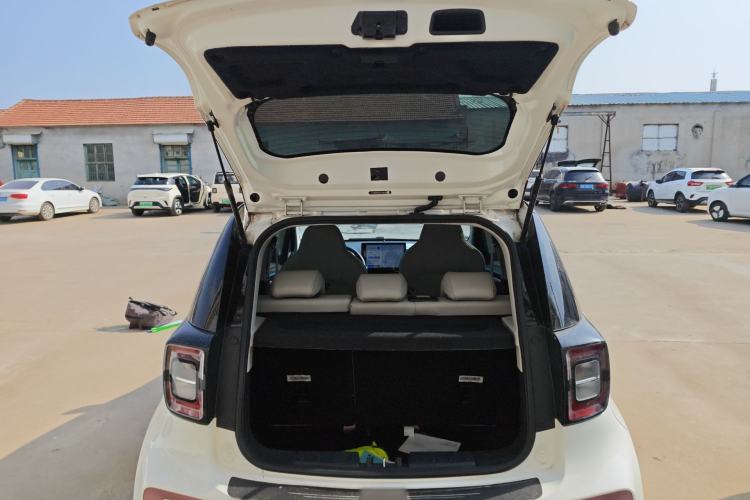 Used SOL E10X 2022 Flower Fairy Design Sunflower