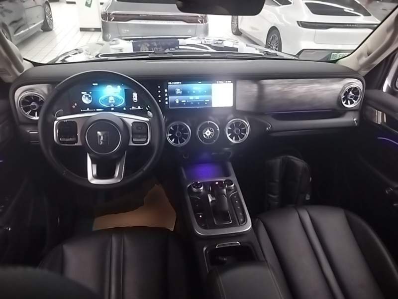 Used Tank 300 2021 City Edition 2.0T—Truly Stylish — 9