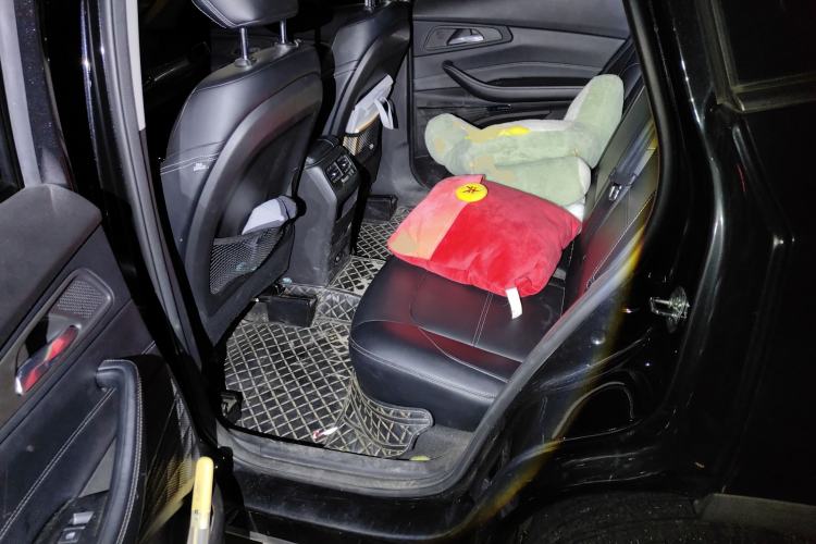 Used EXEED TX 2019 1.6T Four-Wheel Drive Platinum Edition
