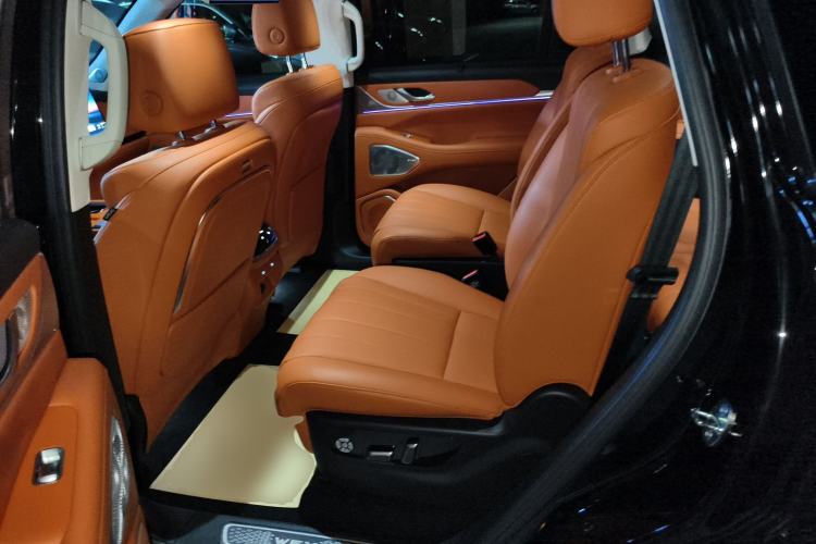 Used Wey Lanshan 2023 Four-Wheel Drive Ultra-Long Range Version Left Rear Seat