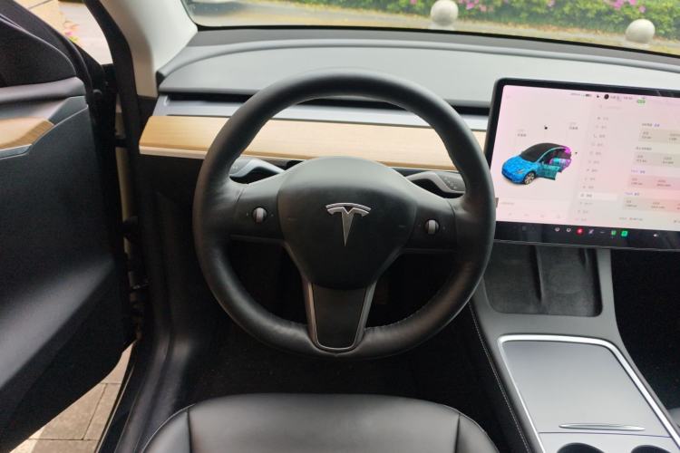 Used Tesla Model Y 2021 Long-Range All-Wheel-Drive Version