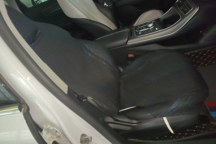 Used BYD Destroyer 05 2024 HONOR Edition DM-i 55KM Luxury Model Right Front Seat