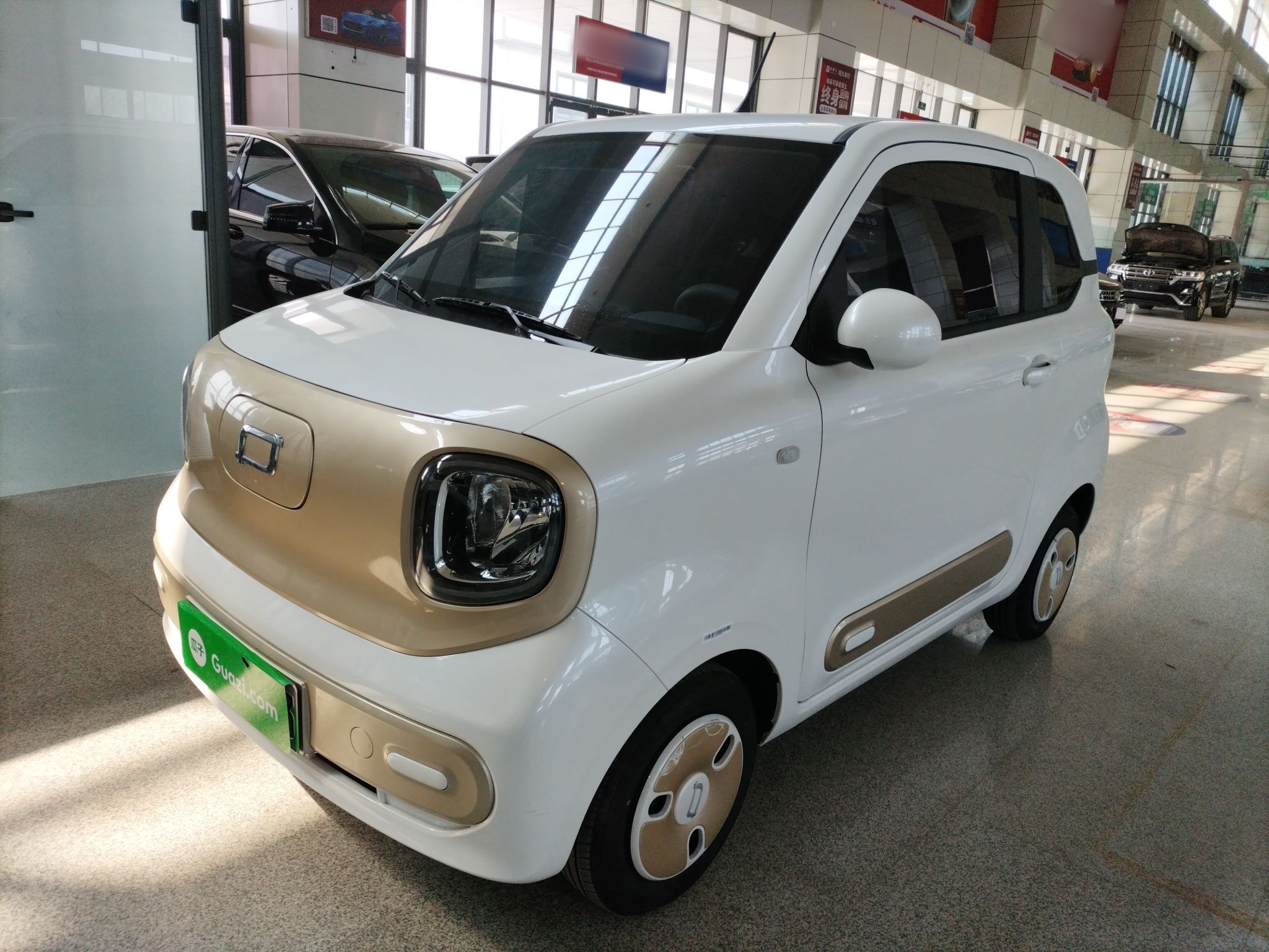 Parte inferior delantera