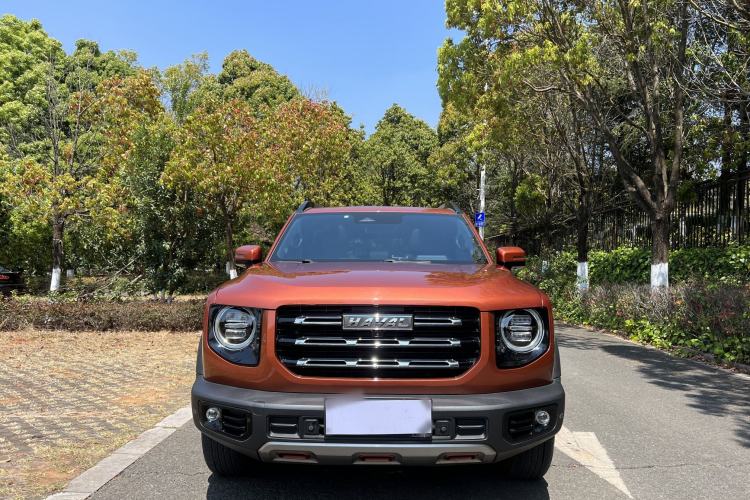 Used Haval DARGO 2021 2.0T DCT 4x4 Chinese Rural Dog Edition