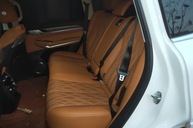 Used Tank 500 2022 3.0T Business Edition "Creation Realm" Design 5-Seater