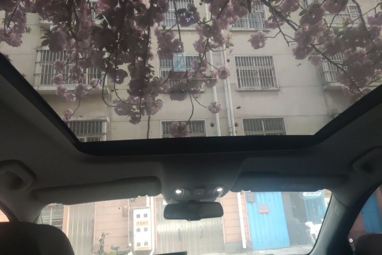 Used GAC Trumpchi GS8 2021 390T Two-Wheel-Drive Dark Knight Edition