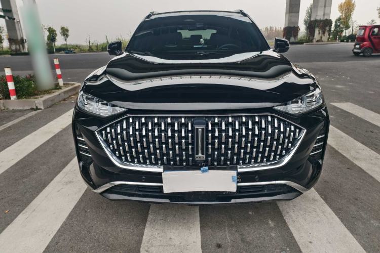 Used Wey Mocha 2021 2.0T Two-Wheel-Drive Premium Edition
