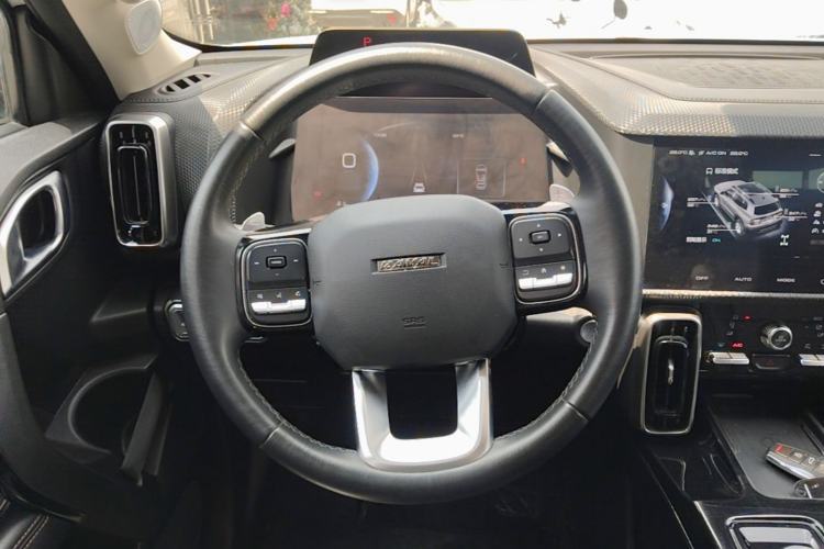 Used Haval DARGO 2021 2.0T DCT 4x4 Chinese Rural Dog Edition