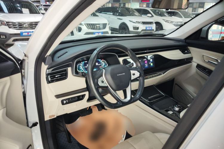 Used Oshan X7 EV 2020 Luxury Edition 405