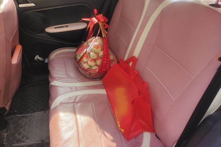 Used ORA Black Cat 2022 301km Base Version Ternary Lithium