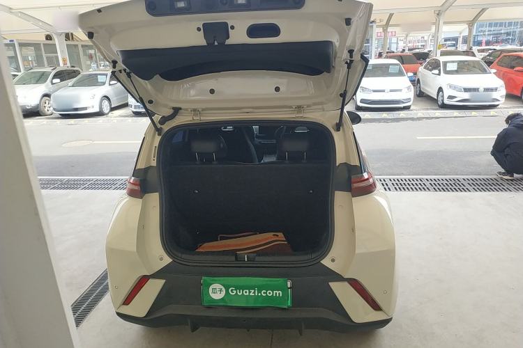 Used BYD Seagull 2025 305 km Free Version