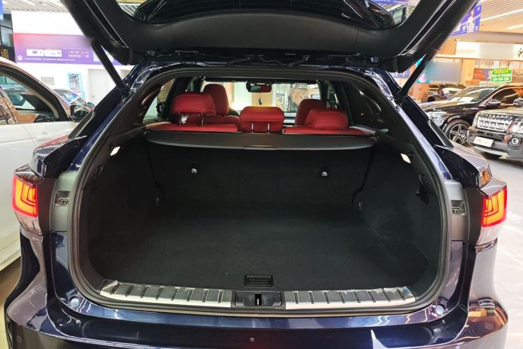 Used Lexus RX 2021 300 4x4 F SPORT