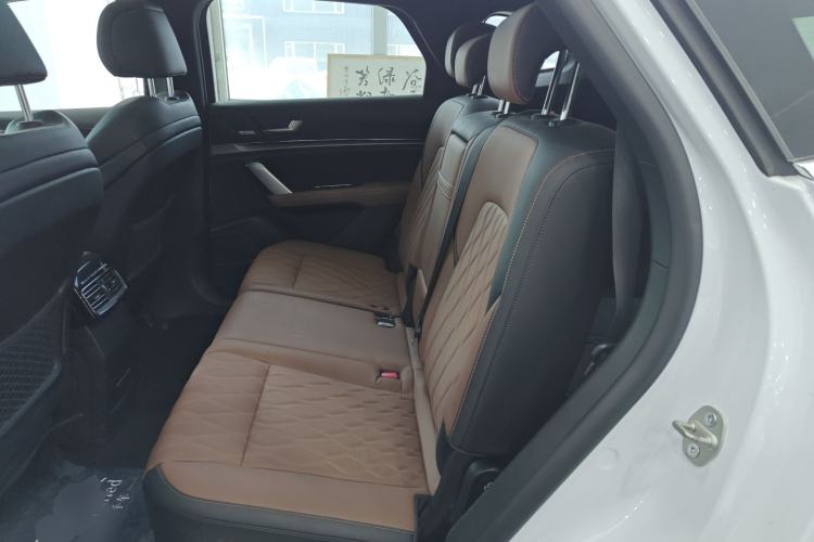 Used BYD Tang New Energy 2021 DM-i 112KM Prestige Model Left Rear Seat