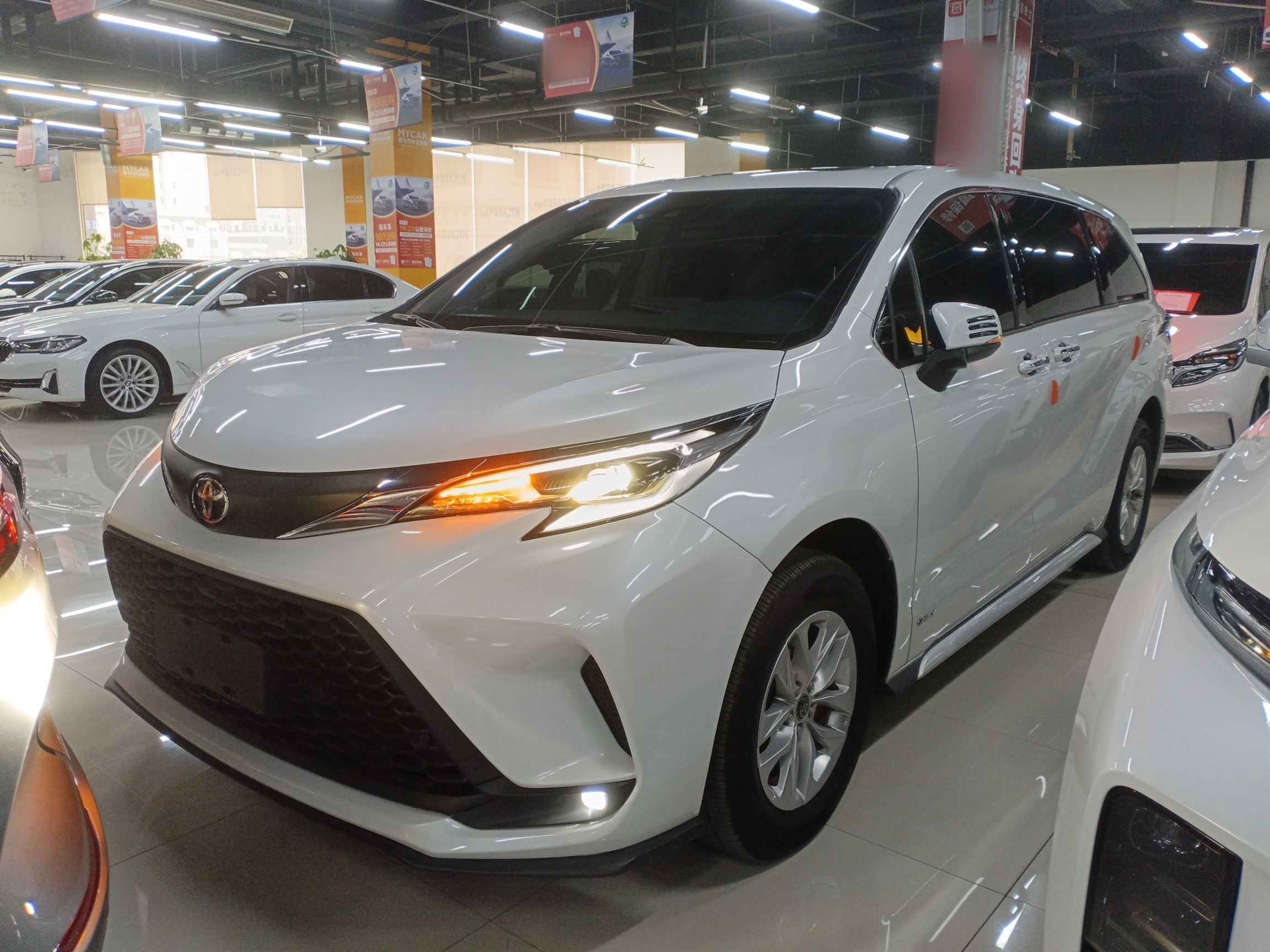 تحت مقدمة السيارة