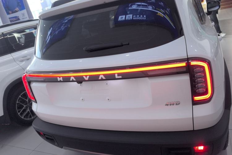 Used Haval DARGO 2024 2.0T DCT Chinese Rural Dog Edition
