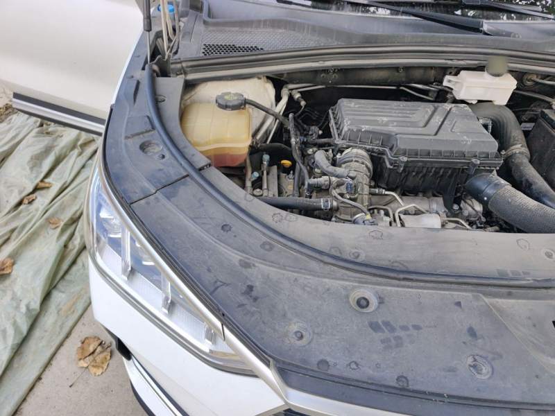 Used BYD Song PLUS 2020 1.5T Automatic Flagship PLUS — 23
