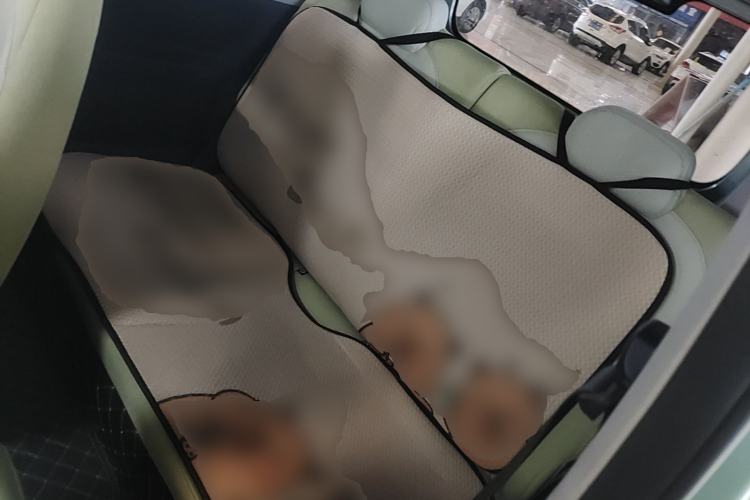 Used Geely Galaxy Panda 2023 Panda Mini 200km Endurance Bear
