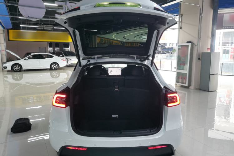 Used Tesla Model Y 2021 Standard Range Rear-Wheel Drive Version
