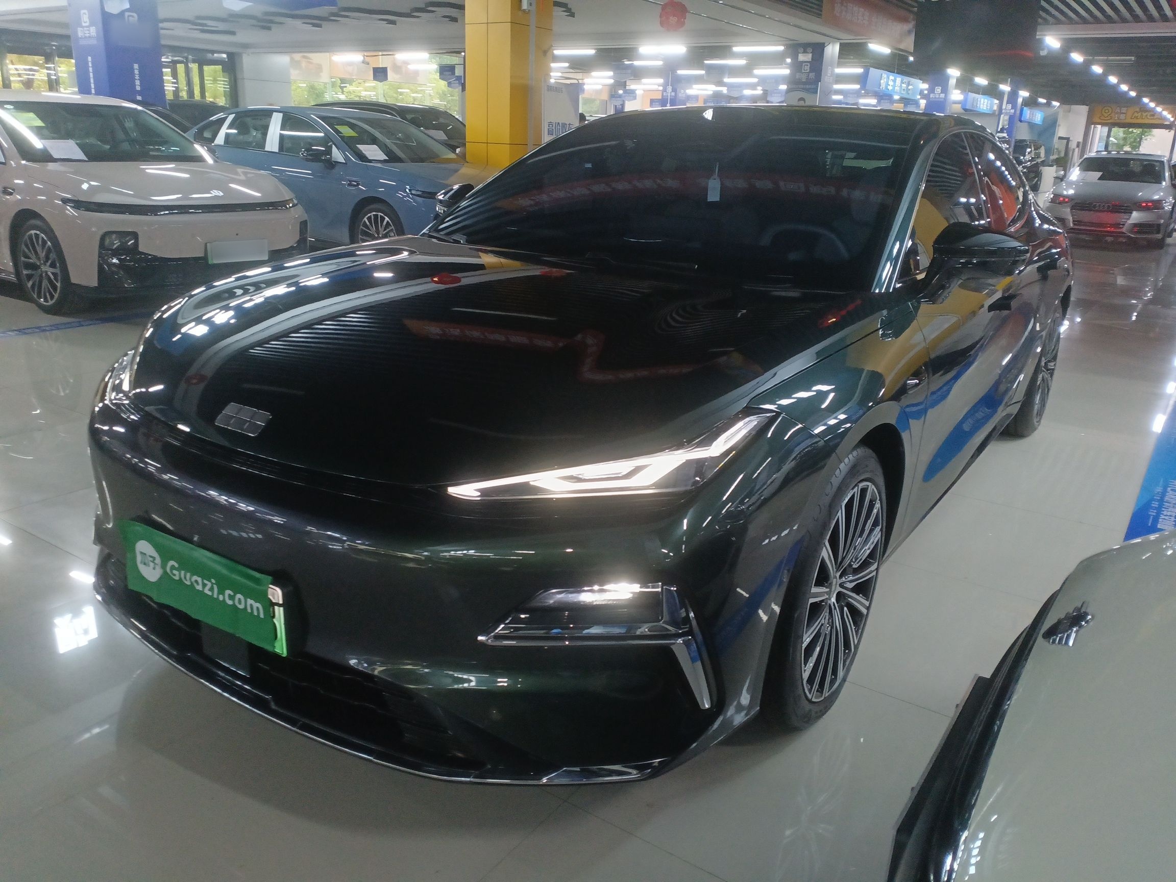 Parte inferior delantera