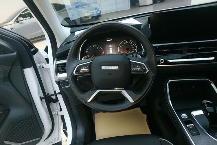 Used Haval H6 2023 National Trend Edition 1.5T Automatic Urban Version

