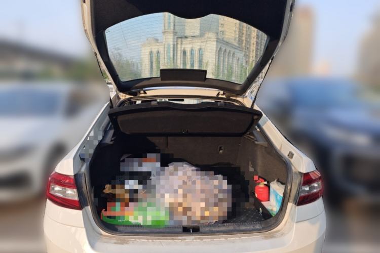 Used Skoda Octavia 2019 1.5L Automatic SmartDrive Comfort Edition China V Standard
