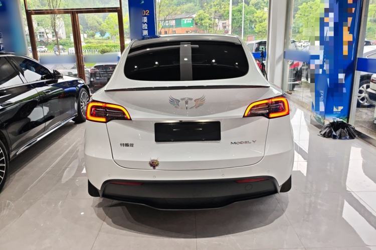 Used Tesla Model Y 2022 Rear-Wheel-Drive Version