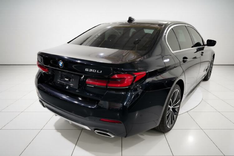 Used BMW 5 Series 2021 530Li Leading Model M Sport Package