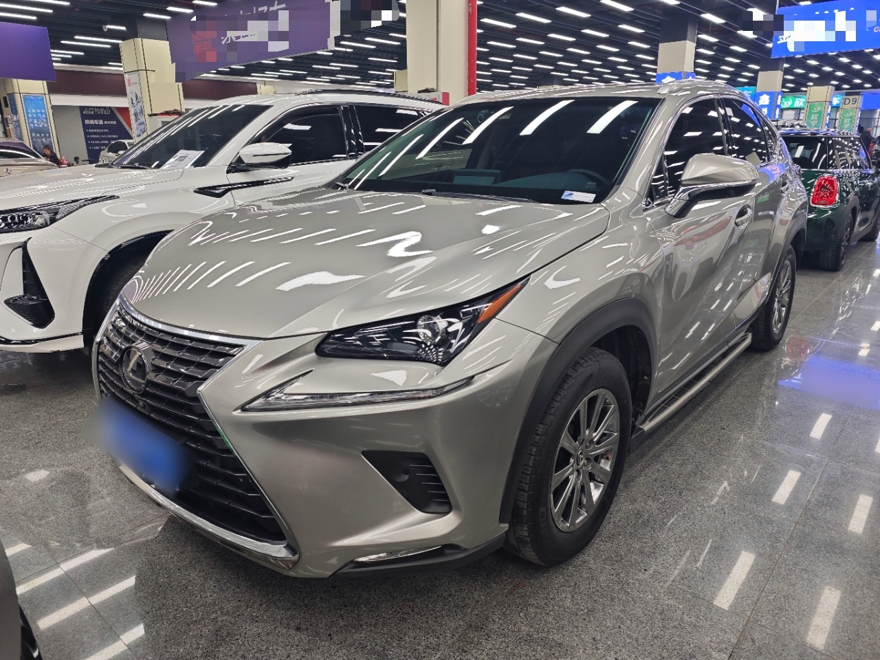 Parte inferior delantera