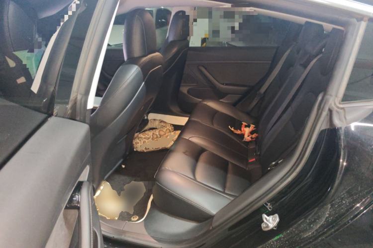 Used Tesla Model 3 2020 Standard Range Rear-Wheel Drive Upgraded Version