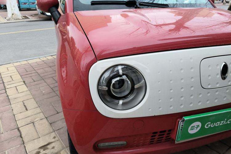 Used ORA Black Cat 2019 351 km Lingrui Version
