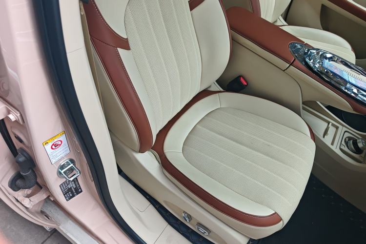 Used ORA Ballet Cat 2023 401 km Luxury Version Right Front Seat