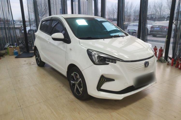 Used CHANGAN OSHAN Benni E-Star 2022 Charming Edition Colorful Model Lithium-Ion Battery
