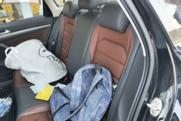 Used Volkswagen Lavida 2019 280TSI DSG Luxury Edition China VI Standard Left Rear Seat