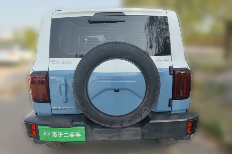 Used Tank 300 2021 City Edition 2.0T—Truly Stylish Rear