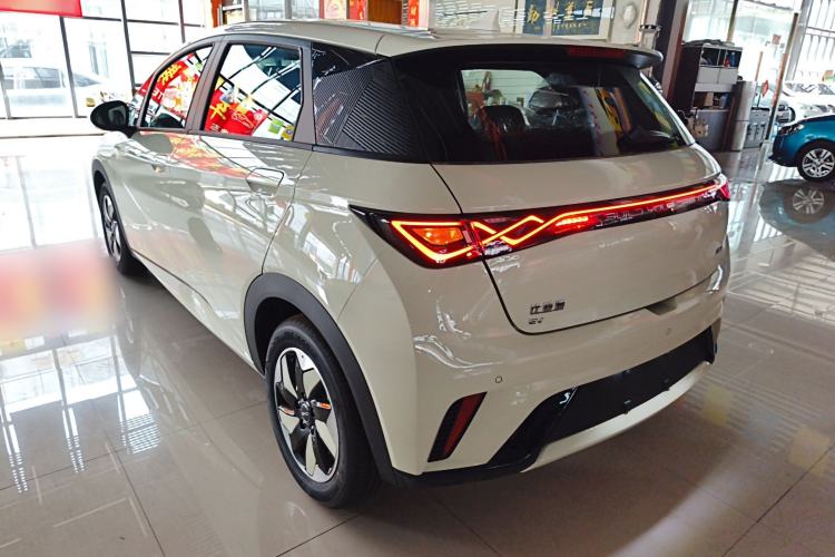 Used BYD Dolphin 2025 420km Free Edition Rear Left 45 Deg