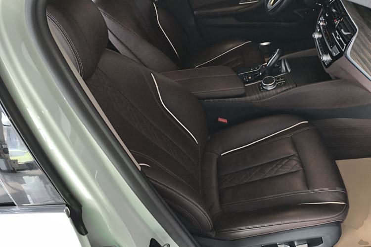 Used BMW 5 Series New Energy 2019 530Le Luxury Package