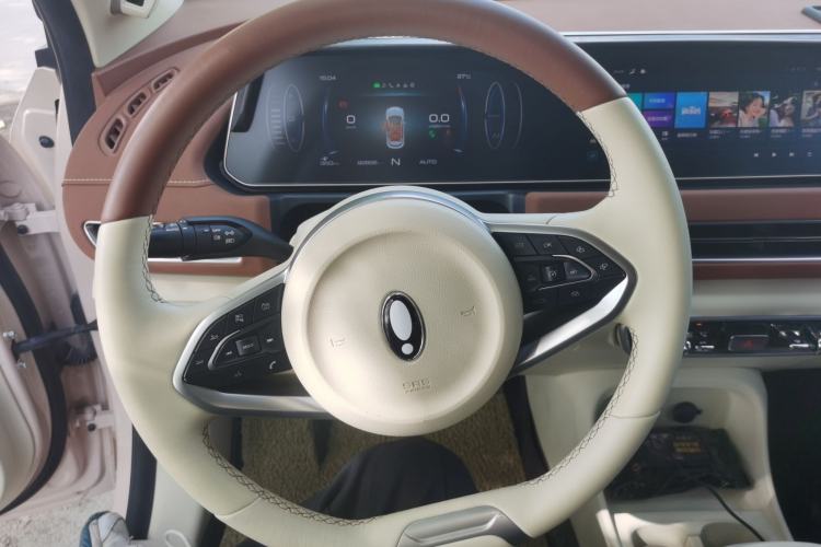 Used ORA Good Cat 2021 500km Long-Range Poseidon Edition Lithium-Ion Battery Steering Wheel