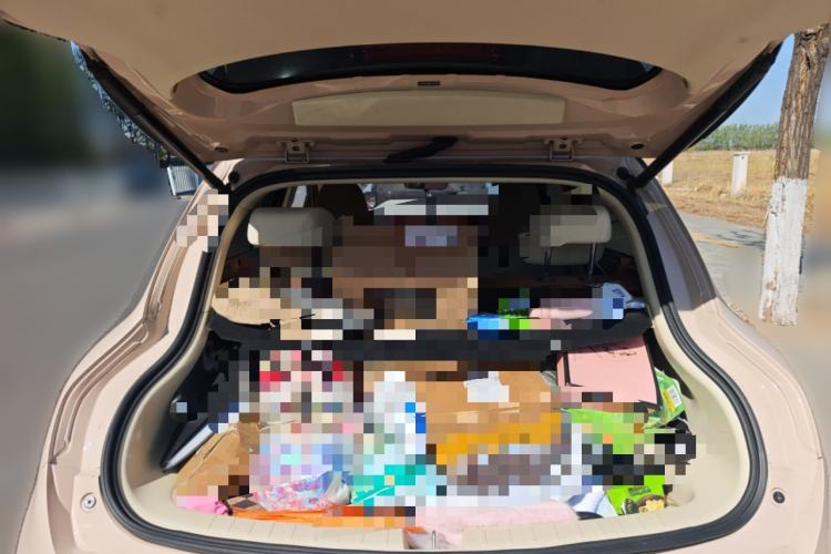 Used ORA Good Cat 2022 400km Standard Range Premium Version Lithium-Ion Battery
