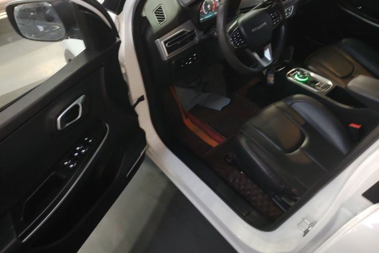 Used Dayun Yuehu 2021 32.85 kWh Two-Wheel-Drive Sprite Version Driver Seat