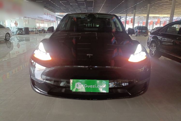 Used Tesla Model Y 2021 Standard Range Rear-Wheel Drive Version
