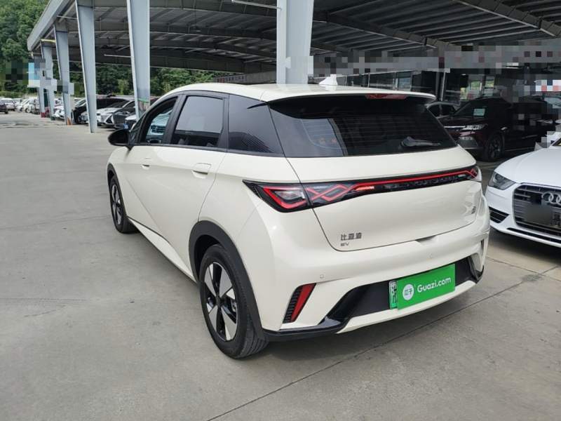 Used BYD Dolphin 2023 420 km Fashion Edition — 4