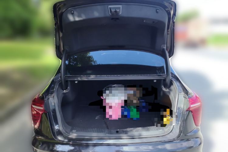 Used Hongqi H5 2023 1.5T DCT Smart Connect Flagship Edition