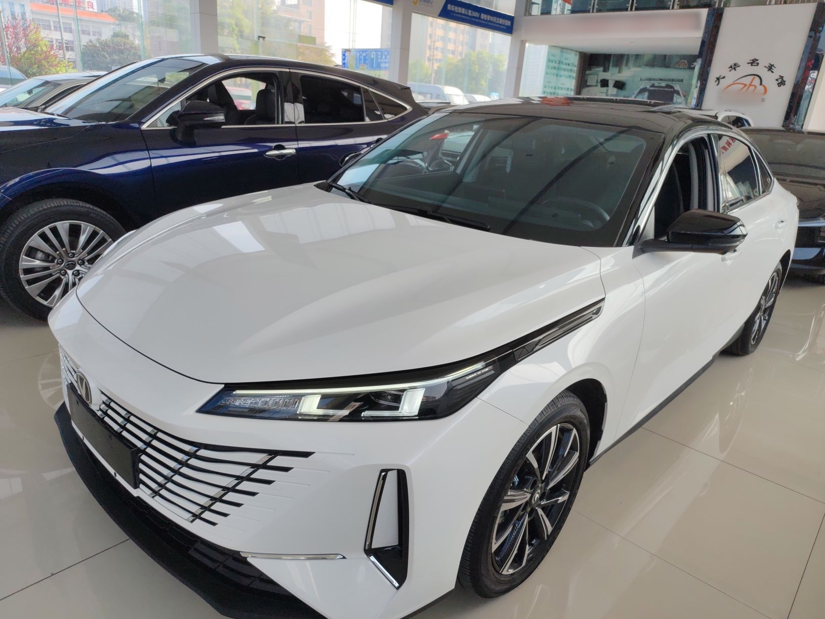 Parte inferior delantera