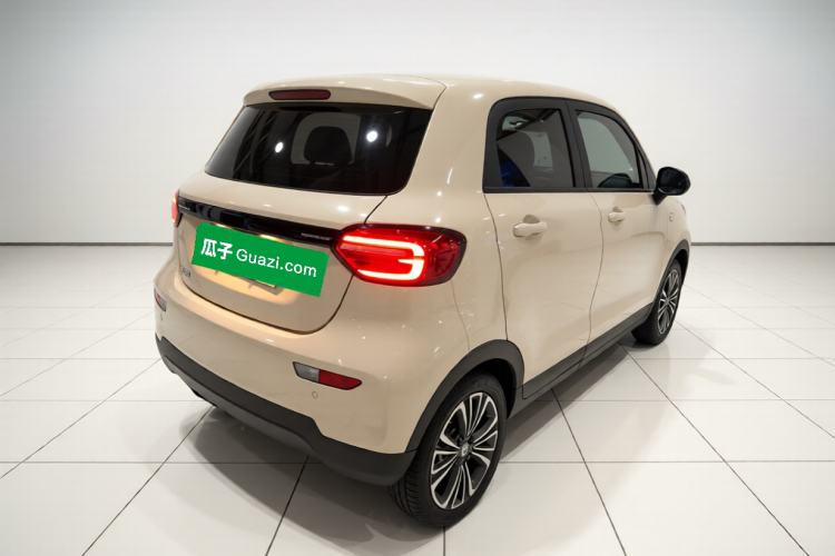 Used Leapmotor T03 2021 400 Micro-Sugar Version Exterior 5