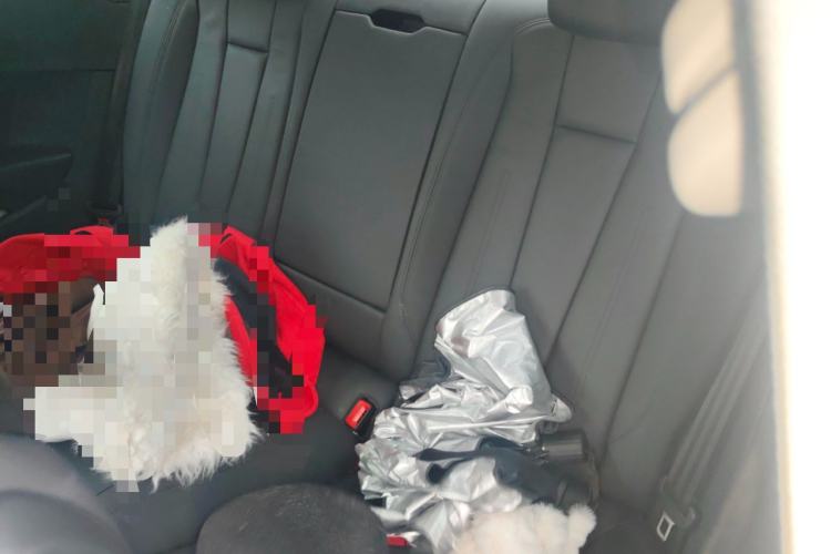 Used Audi A5 2021 Coupe 40 TFSI Fashionable and Dynamic Model